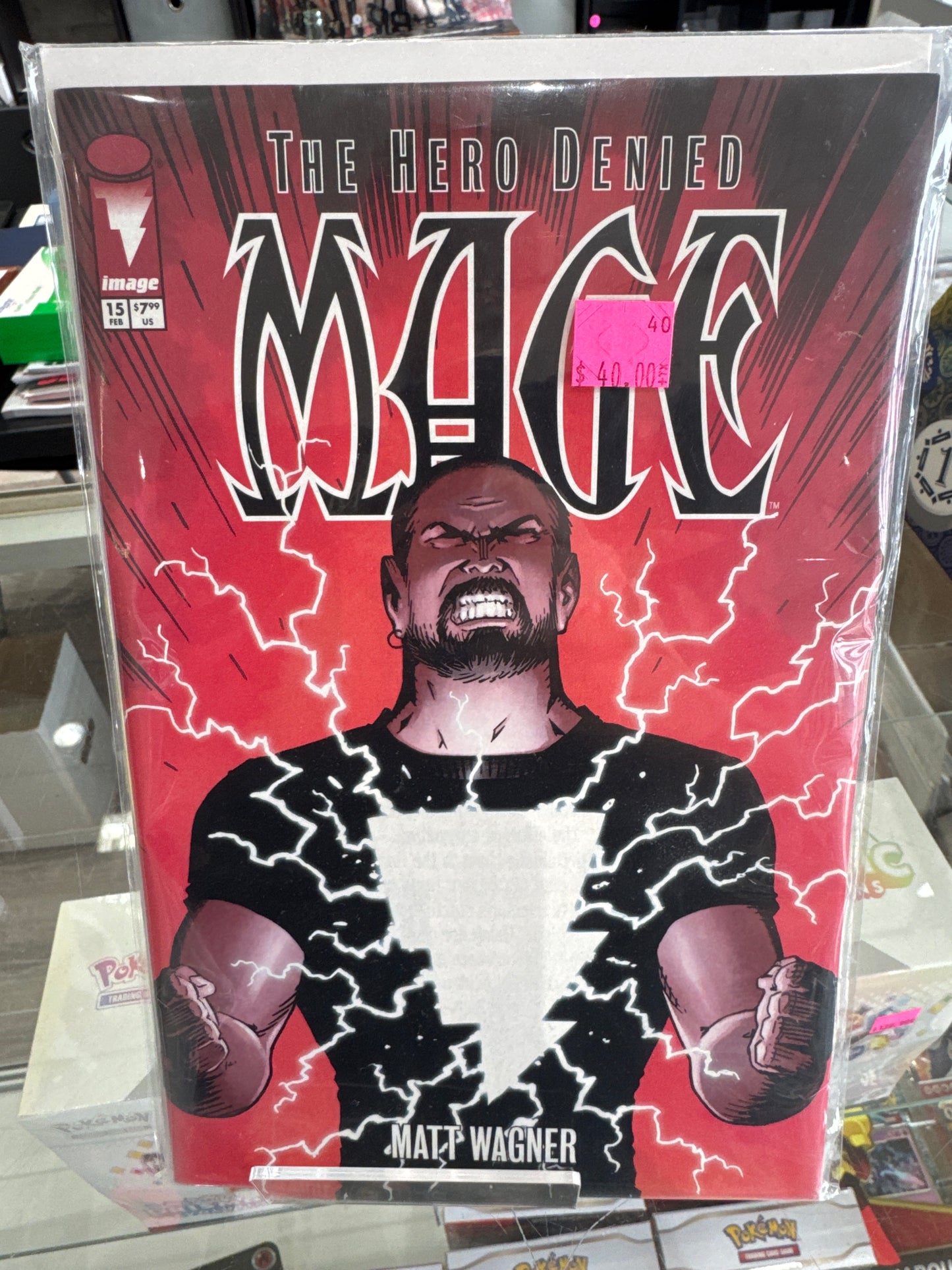 The Hero Denied Mage 15