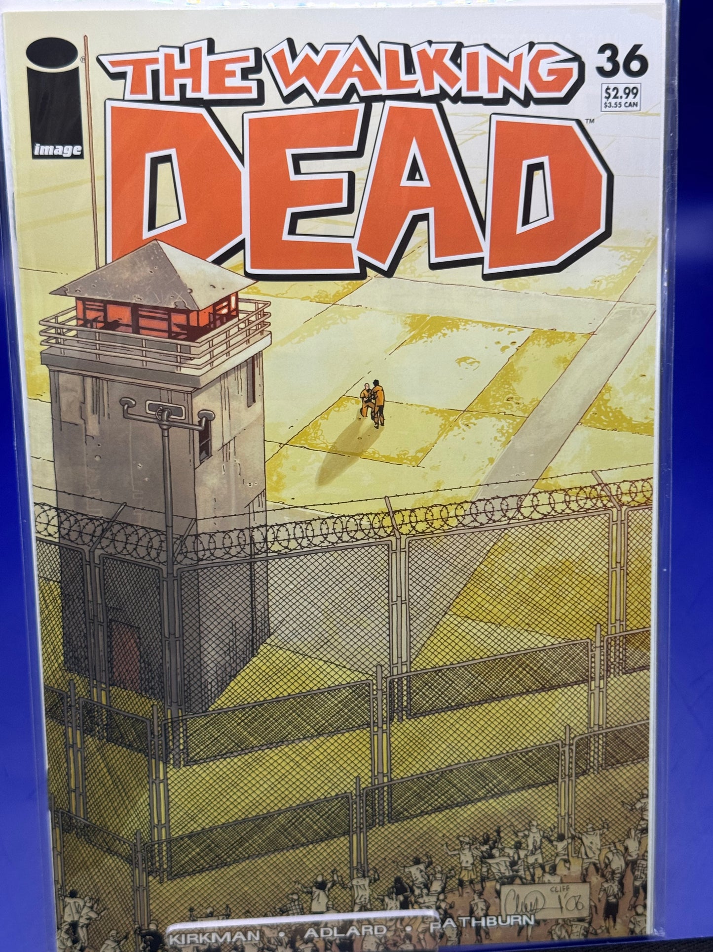 Walking Dead #36