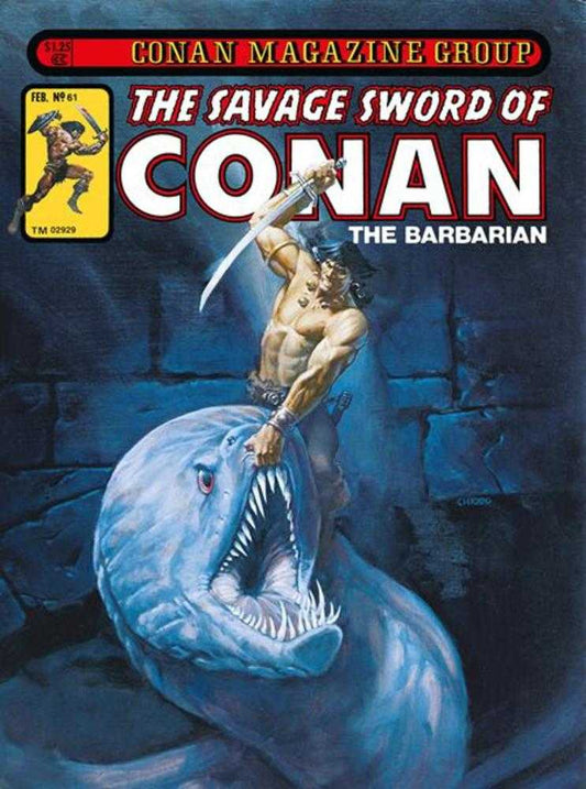 Savage Sword Of Conan The Original Comics Omnibus Hardcover Volume 05 Direct Market Exclusive Joe Chiodo Cover (Mature)