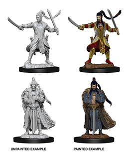 Dungeons & Dragons: Nolzur's Marvelous Unpainted Miniatures - W09 Male Elf Paladin