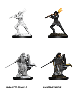 Dungeons & Dragons: Nolzur's Marvelous Unpainted Miniatures - W10 Female Human Paladin