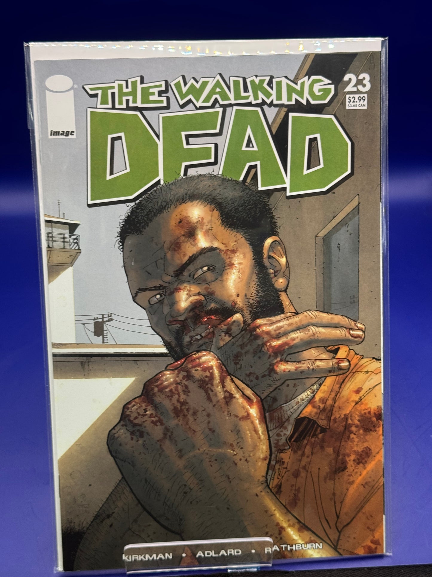 Walking Dead #23