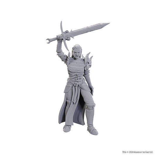 D&D Nolzur's Marvelous Miniatures: Unpainted Minis- Wave 25- Blackguard