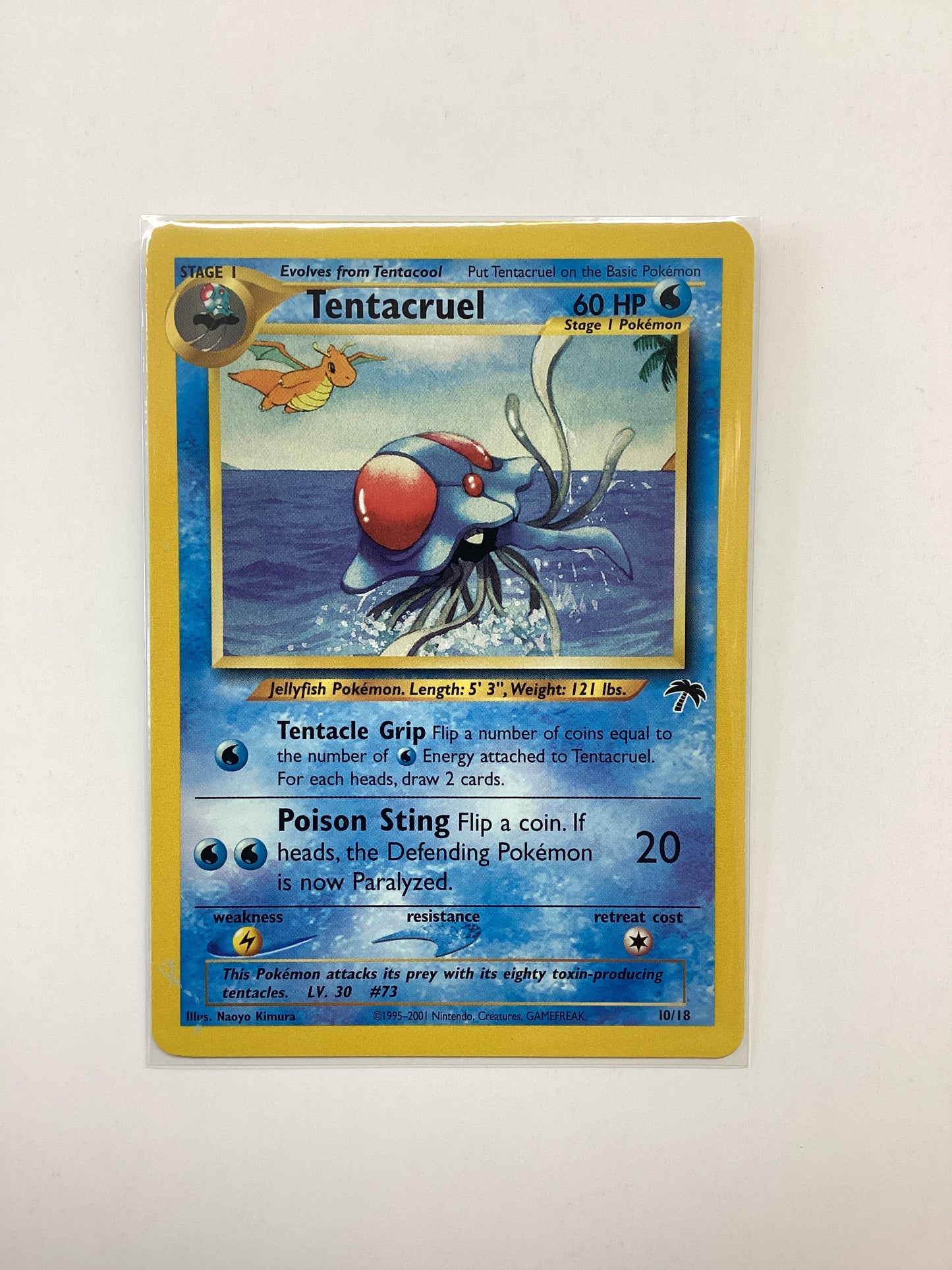 Tentacruel (10) Southern Islands - Non Holo Promo