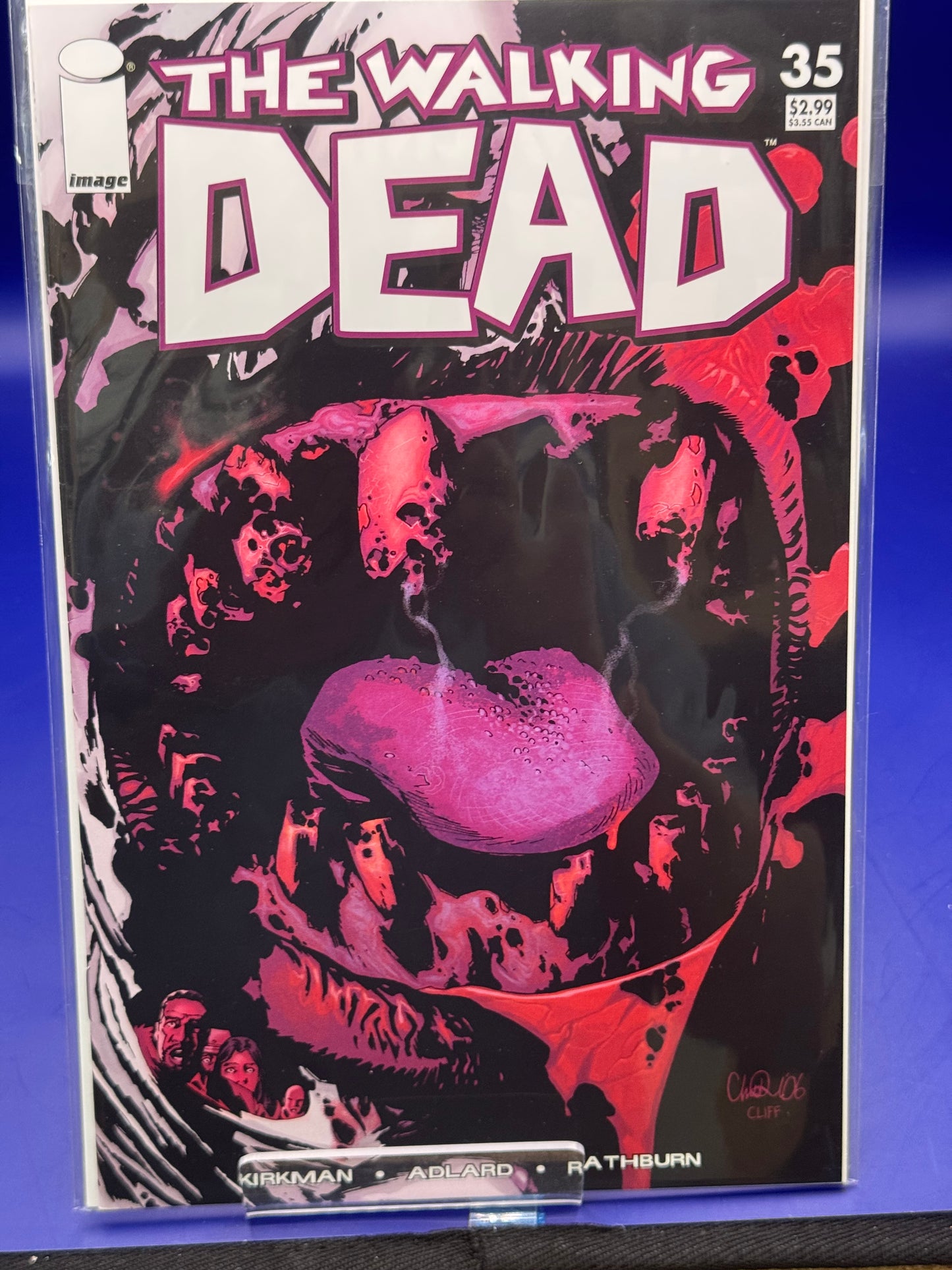 Walking Dead #35