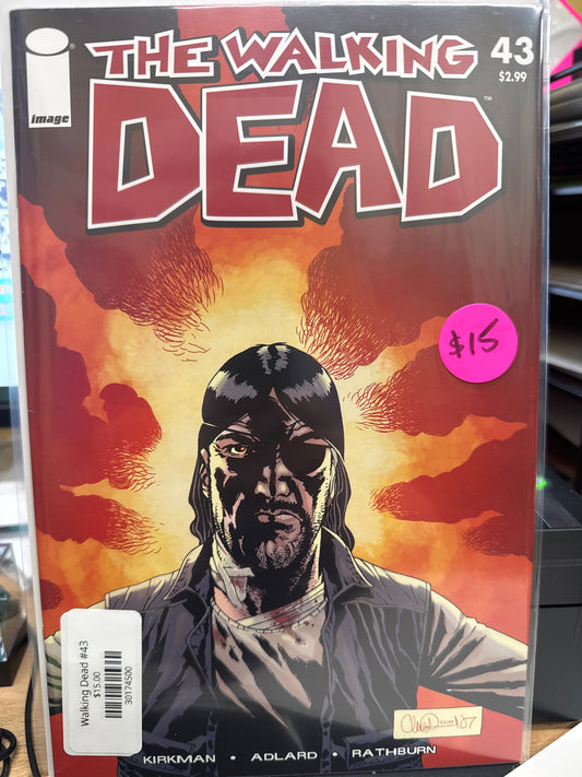 Walking Dead #43