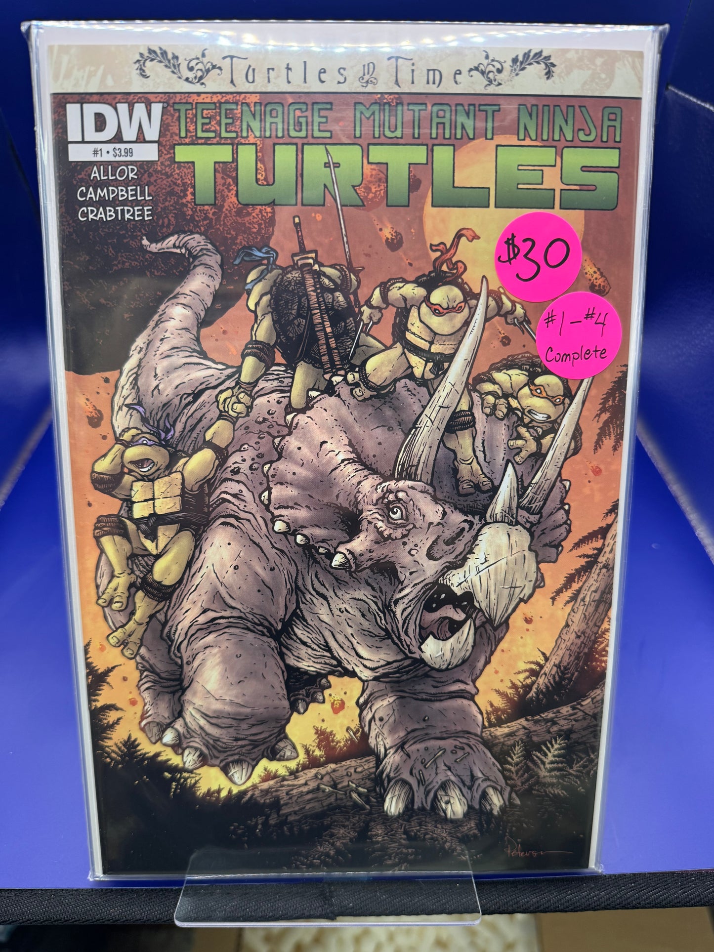 Teenage Mutant Ninja Turtles: Turtles in Time Bundle (#1-#4)