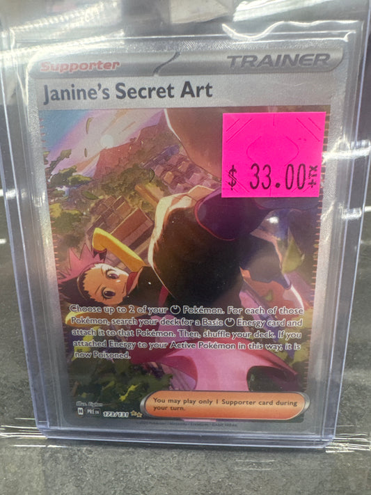 Janine's Secret Art (173/131)