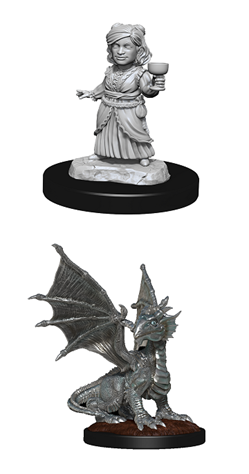 Dungeons & Dragons: Nolzur's Marvelous Unpainted Miniatures - W13 Silver Dragon Wyrmling & Female Halfling