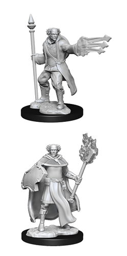 Dungeons & Dragons: Nolzur's Marvelous Unpainted Miniatures - W13 Multiclass Cleric + Wizard Male